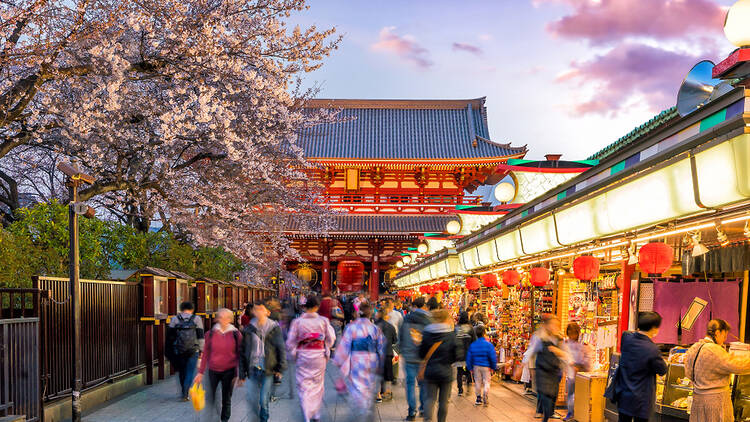 Study in Japan 2026: Ultimate Guide for International Students!