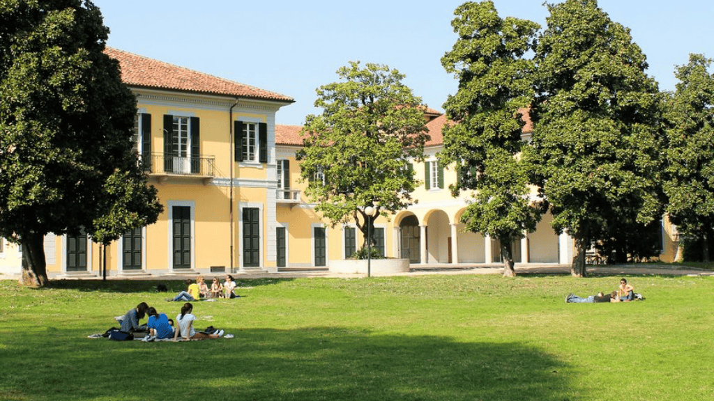 Top Programs to Study at LIUC, The Business University in 2026