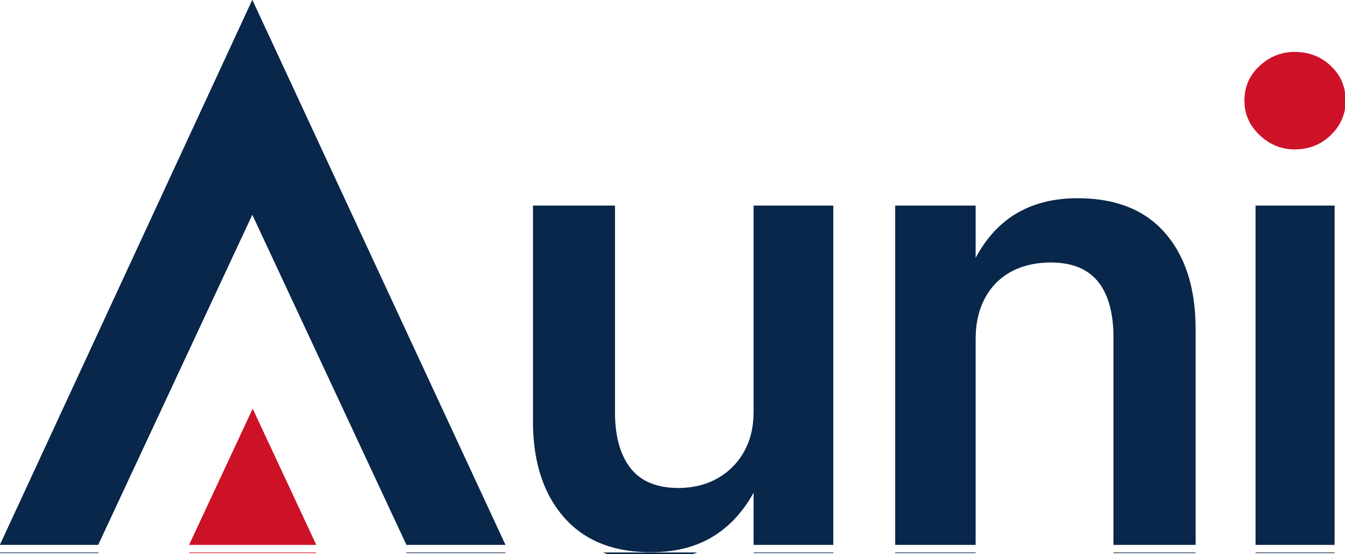 Auni University