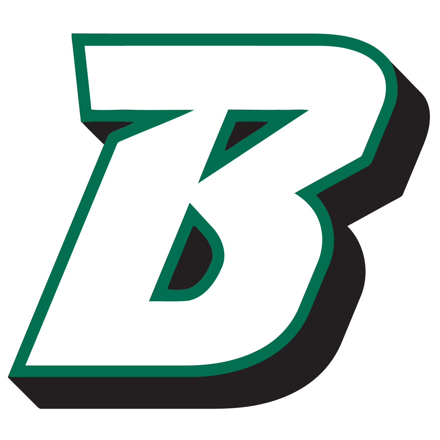 Binghamton University