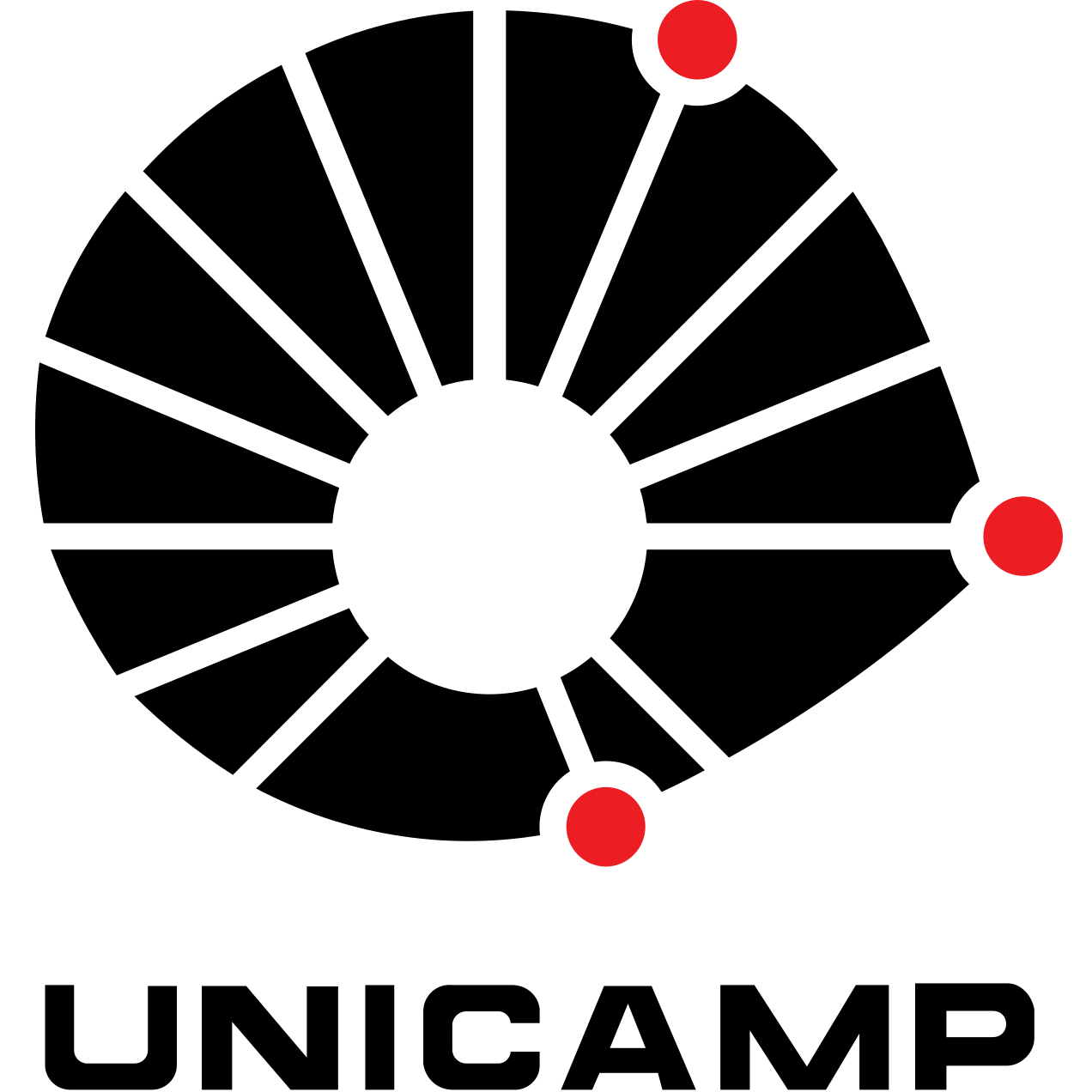 Universidade Estadual de Campinas (Unicamp)
