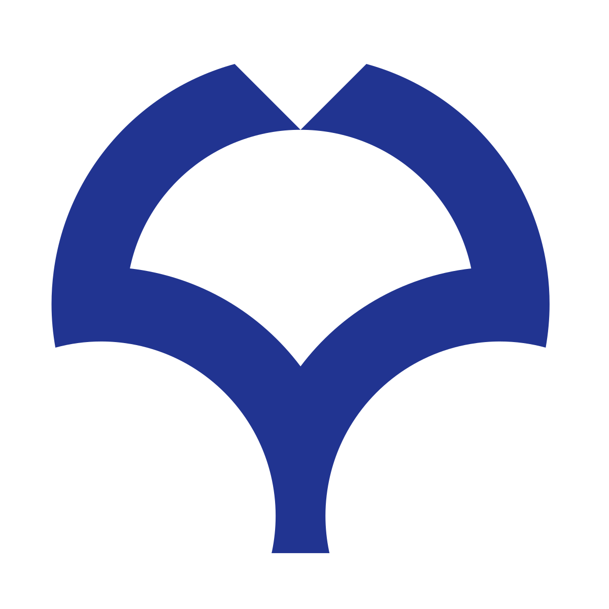 The University of Osaka